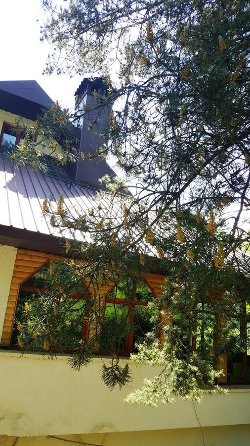Pandora Villa Mavrovo Luaran gambar
